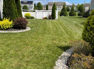 James S.'s lawn care service result