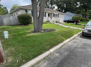 David R.'s lawn care services service result