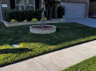 Samuel J.'s lawn service service result