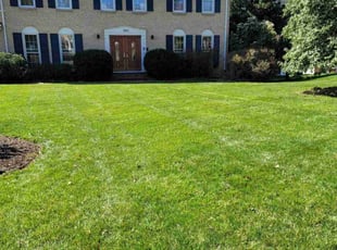Mary D.'s lawn care services service result