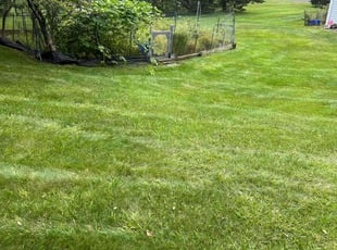 Jason M.'s lawn care services service result