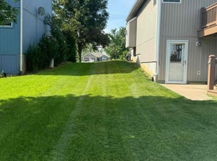 Sarah R.'s turf care service result