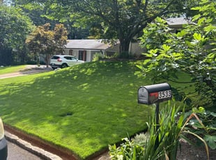 Gale b.'s turf maintenance service result