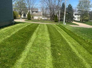 Ronald G.'s turf maintenance service result