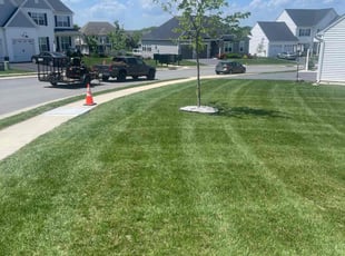 John M.'s lawn maintenance service result