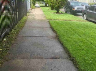 Darie G.'s lawn maintenance service result