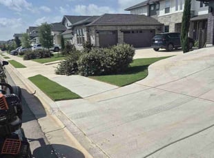 Vanisha A.'s grass maintenance service result