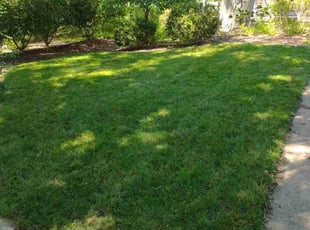 Mary L.'s lawn care services service result