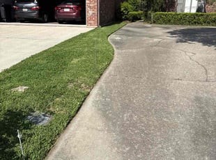 Susan B.'s grass maintenance service result