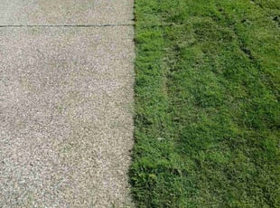 Bobbi H.'s lawn care service result