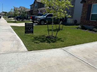 Mayzella W.'s turf care service result
