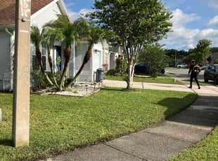 Zach F.'s grass maintenance service result