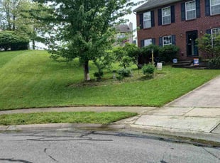 Renata S.'s turf care service result