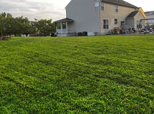 Susan S.'s Flower Bed Weeding service result