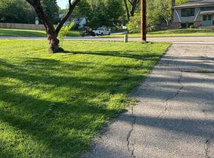 Jayleen N.'s lawn care services service result