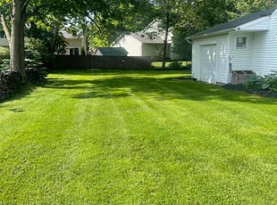 John B.'s turf maintenance service result