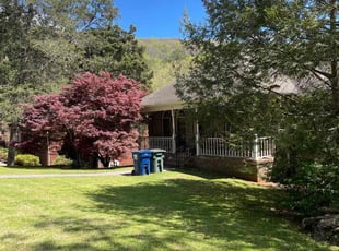 Kristen N.'s grass cutting service result