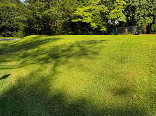 Thomas S.'s lawn care services service result