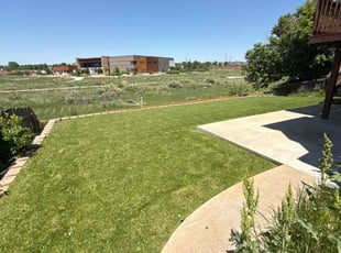 Aaron M.'s turf care service result