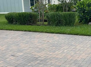 Emery F.'s Bush Trimming service result