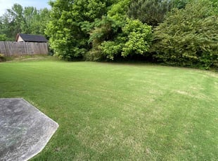 Walter L.'s grass maintenance service result