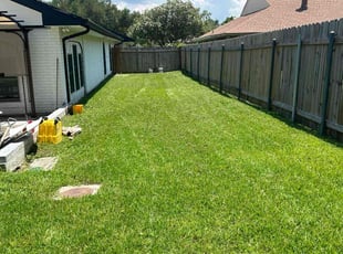 Nicole G.'s turf maintenance service result