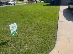 Jeffrey H.'s grass maintenance service result