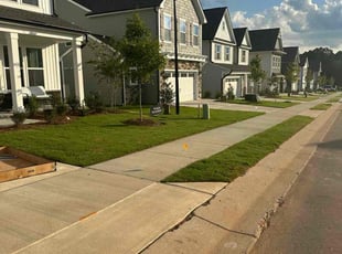 Carl T.'s grass maintenance service result