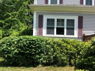 Derek B.'s Bush Trimming service result