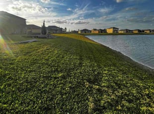 Thomas B.'s lawn service service result