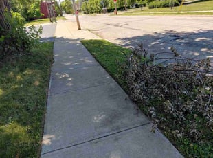 Kearon T.'s turf maintenance service result