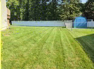 Anna H.'s turf maintenance service result