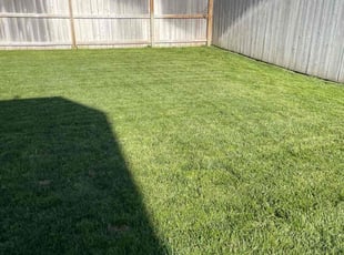 taylor w.'s turf maintenance service result