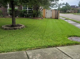 Chantel B.'s lawn maintenance service result