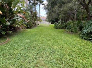 Eva B.'s lawn maintenance service result