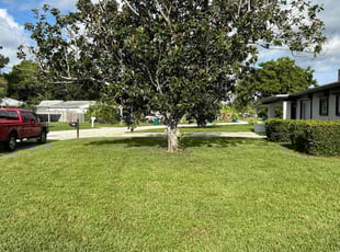 Heather D.'s grass maintenance service result