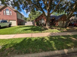 Angelo R.'s yard care service result