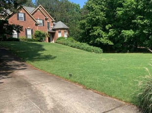John E.'s grass maintenance service result