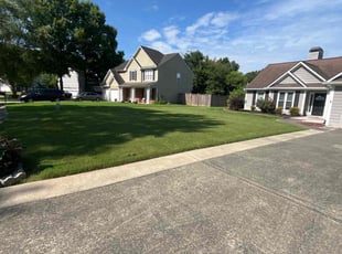 Marilyn M.'s grass maintenance service result