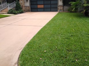 Brae D.'s turf care service result