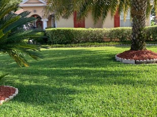 Charlotte M.'s lawn maintenance service result