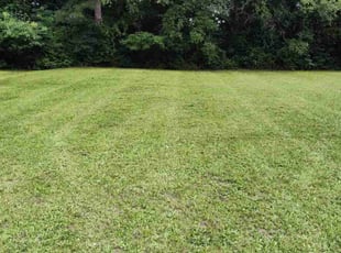 Bonnie S.'s lawn maintenance service result