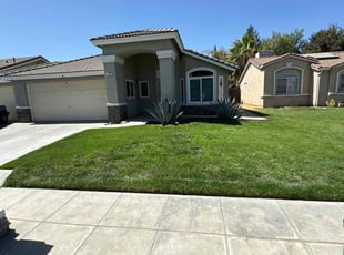 Michael W.'s lawn maintenance service result