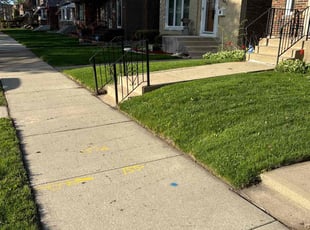 Tracy Y.'s grass cutting service result