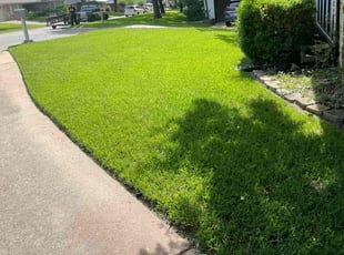Melissa B.'s turf maintenance service result