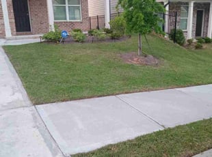 Shane G.'s grass cutting service result