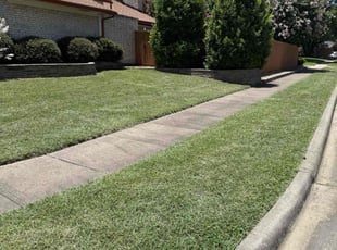 Sonja N.'s lawn care services service result