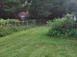 Ingra D.'s lawn care services service result