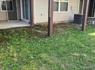 Noel L.'s grass maintenance service result