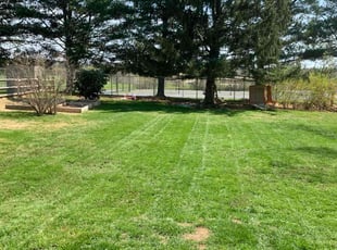 Susan B.'s grass cutting service result